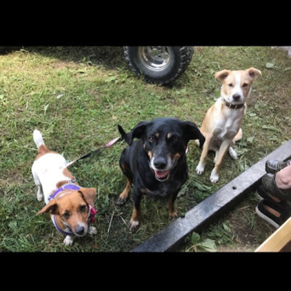 Meet your Posher, Nadia